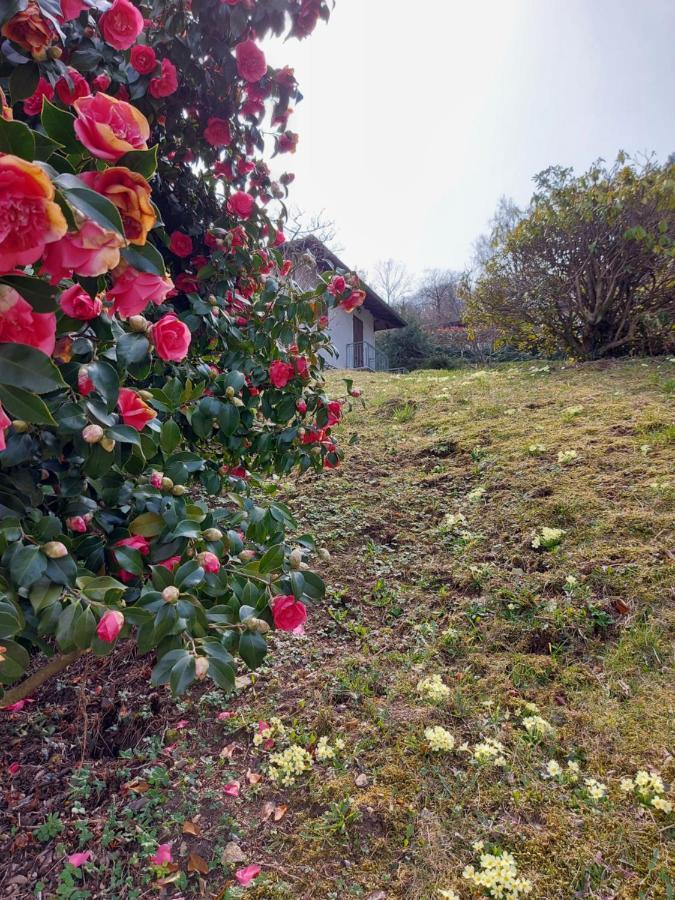 Vila La Casa Delle Camelie Stresa Exteriér fotografie