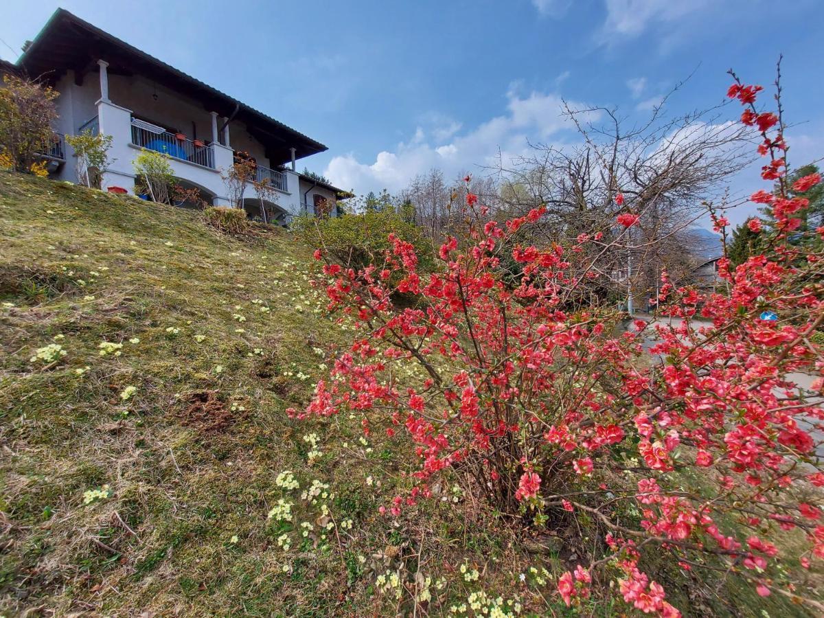 Vila La Casa Delle Camelie Stresa Exteriér fotografie