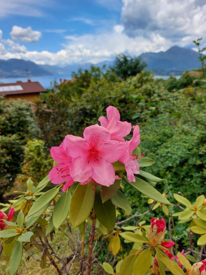 Vila La Casa Delle Camelie Stresa Exteriér fotografie