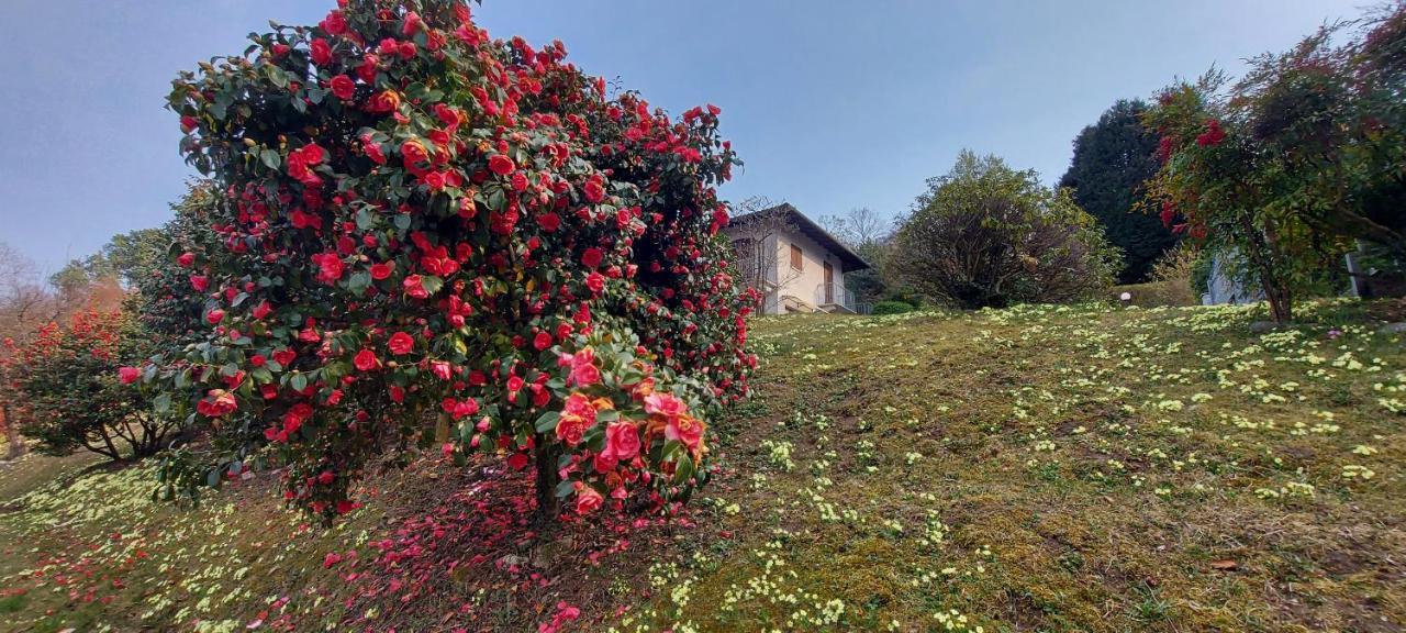 Vila La Casa Delle Camelie Stresa Exteriér fotografie